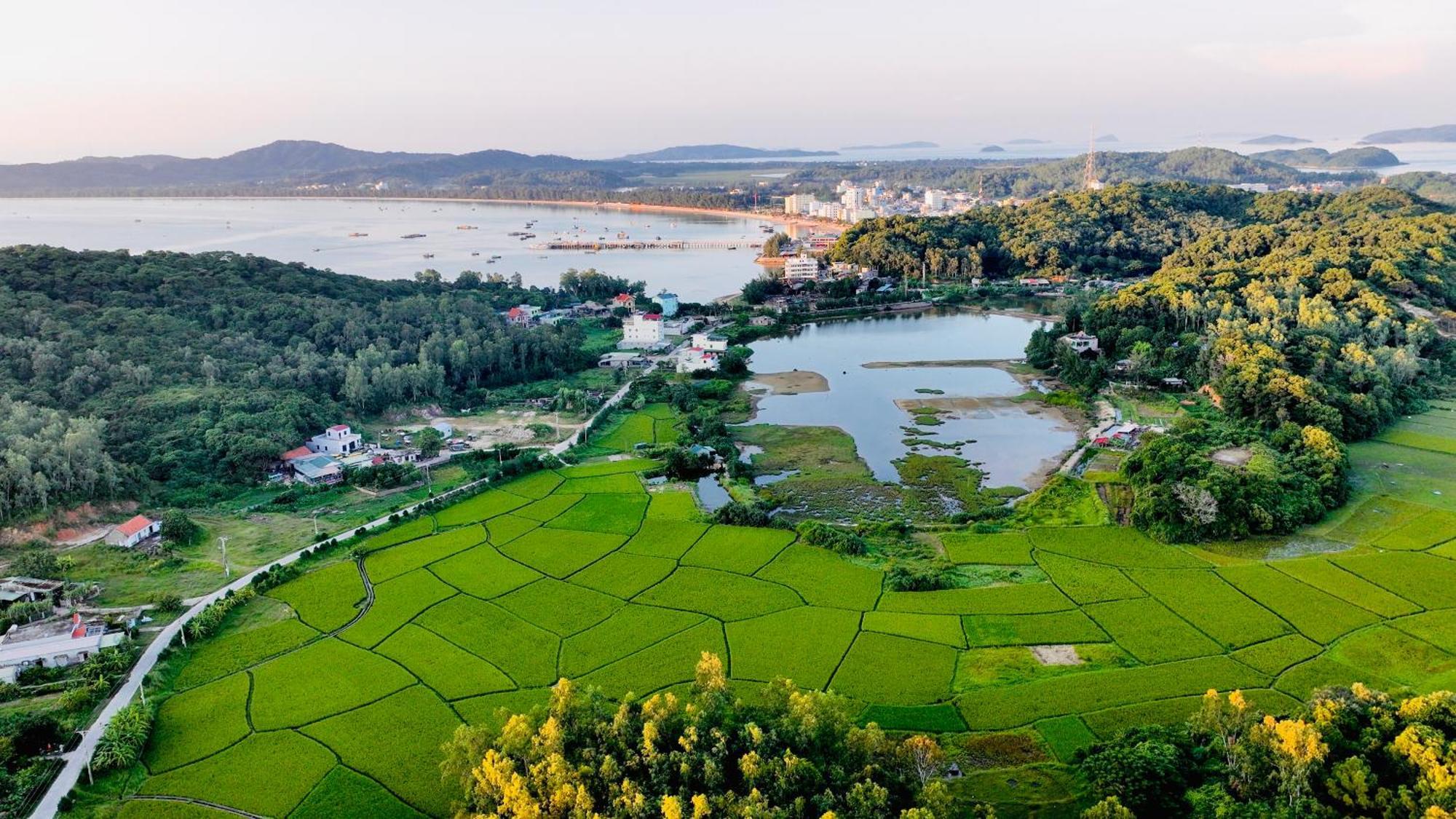 Coto Island Beach Village Homestay Dao Co To Dış mekan fotoğraf